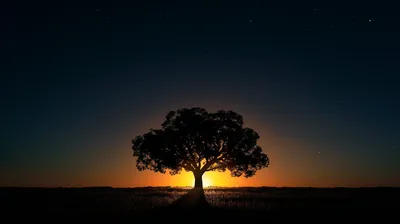 Calm General Wallpaper Abstract Wallpaper 4K 2912x1632 Wallpaper, General, 2912x1632, Yellow, Brown, Ultrawide, QHD