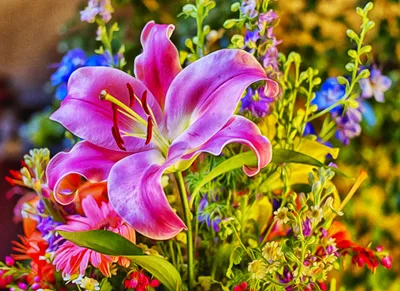 Vibrant Pink Lily Stands Nature Wallpaper 4K 2048x1492 A, Vibrant, Pink, Lily, Stands, Out, Among, Colorful, Array, Flowers, Capturing, Beauty, Landscape, Full HD