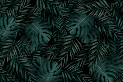 Dreamy General Wallpaper Abstract Wallpaper 4K 2927x1954 Wallpaper, General, 2927x1954, Landscape, QHD