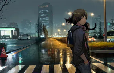 Misty Anime Wallpaper World Wallpaper 4K 3650x2366 Anime, Boy, Holding, A, Cat, Stands, On, Crosswalk, Front, Rainy, Night, Cityscape, Gray, Ultrawide, QHD