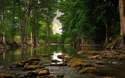 Bright Serene Wallpaper Nature Wallpaper 4K 1680x1050 A, Serene, Landscape, Featuring, Calm, River, Bordered, Lush, Green, Trees, Mossy, Rocks, Gray, Ultrawide