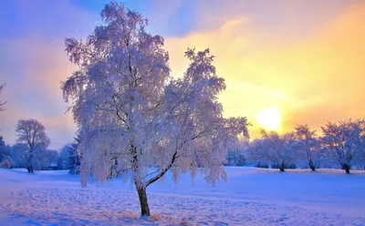 Winter Landscape Sunset Nature Wallpaper 4K 5120x3172 A, Winter, Landscape, At, Sunset, With, Snow-covered, Trees, Glowing, Sun, Captured, Vibrant, White, Ultrawide, 4k