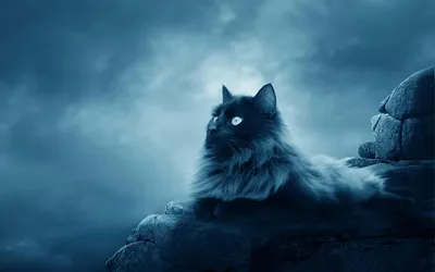 Majestic Cat Glowing Eyes Reclines Nature Wallpaper 4K 1680x1050 A, Majestic, Cat, With, Glowing, Eyes, Reclines, On, Rocky, Terrain, Under, Dramatic, Gray, Brown, Ultrawide
