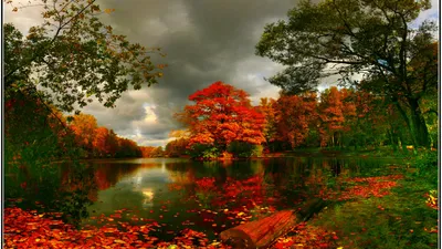 Depicting Serene Pond Surrounded Vibrant Nature Wallpaper 4K 1920x1080 Hd, Desktop, Wallpaper, Depicting, A, Serene, Pond, Surrounded, Vibrant, Autumn, Trees, Leaves, Gray, Brown, Ultrawide, Full HD