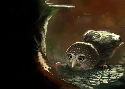 Whimsical Fantasy Curious Fantasy Wallpaper 4K 2800x2000 A, Whimsical, Fantasy, Scene, Featuring, Curious, Owl, Peering, Worm, Desktop, Blends, Nature, Gray, Landscape, QHD
