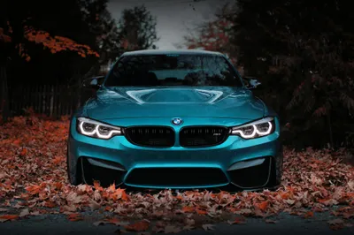 Teal Car Autumn Leaves Cars Wallpaper 4K 2048x1365 Hd, Desktop, Wallpaper, Featuring, A, Teal, Bmw, M3, Car, Parked, Autumn, Leaves, Brown, Gray, Ultrawide, Full HD