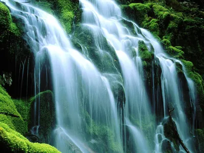 Vivid Serene Wallpaper Nature Wallpaper 4K 1600x1200 A, Serene, Waterfall, Cascades, Over, Moss-covered, Rocks, In, Nature, White, Landscape