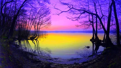 Vibrant Pastel Sunset Nature Wallpaper 4K 1920x1080 A, Vibrant, Pastel, Sunset, Over, Tranquil, Lake, Framed, Silhouettes, Trees, Scene, Showcases, Pink, White, Ultrawide, Full HD