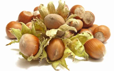 Bold Close Wallpaper Abstract Wallpaper 4K 2560x1600 Hd, Desktop, Wallpaper, Showing, A, Close-up, Of, Fresh, Hazelnuts, Shells, Green, Husks, White, Ultrawide, QHD