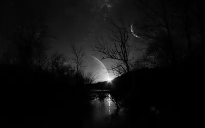 Dark Full Black-dark Black/Dark Wallpaper 4K 1920x1200 Gray