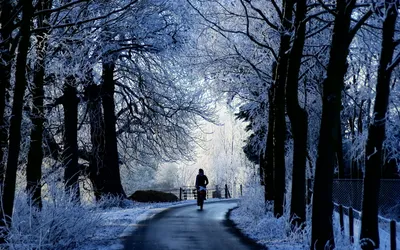 Vibrant Winter Wallpaper Wallpaper 4K, Nature category