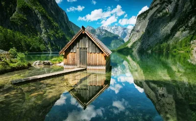 Bold Nature Wallpaper Wallpaper 4K, Nature category