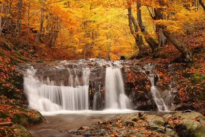 Nature Serene Waterfall Nature Wallpaper 4K 5616x3744 A, 4k, Ultra, Hd, Nature, Wallpaper, Featuring, Serene, Waterfall, Surrounded, Vibrant, Autumn, Gray, Landscape