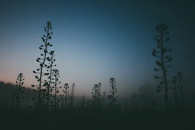 Dreamy General Wallpaper Abstract Wallpaper 4K 1600x1067 Wallpaper, General, 1600x1067, Gray, Brown, Landscape