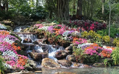 Vibrant Waterfall Cascades Nature Wallpaper 4K 2560x1600 A, Vibrant, Waterfall, Cascades, Over, Rocks, Surrounded, By, Colorful, Flowers, Lush, Greenery, Gray, Ultrawide, QHD