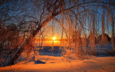 Sleek Serene Wallpaper Nature Wallpaper 4K 1920x1200 A, Serene, Sunrise, Illuminates, Tranquil, Winter, Landscape, Frosty, Branches, Framing, Golden, Light, Brown, Orange, Ultrawide, Full HD
