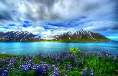 Serene Landscape Wallpaper Nature Wallpaper 4K 2048x1320 A, Stunning, Landscape, Featuring, Snow-capped, Mountains, Serene, Lake, Vibrant, Lupine, Flowers, Against, Gray, Pink, Ultrawide, Full HD