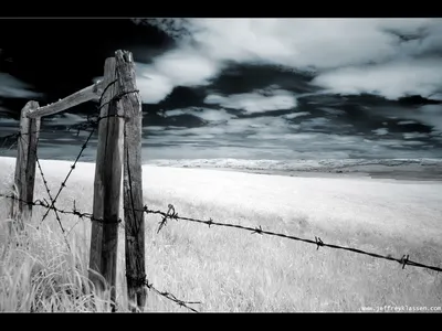Bright Farm Wallpaper Nature Wallpaper 4K 1600x1200 Hd, Wallpaper, Of, A, Farm, Landscape, Featuring, Weathered, Wooden, Fence, Barbed, Wire, White, Gray