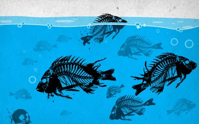 Radiant Dark Wallpaper Animals Wallpaper 4K 1680x1050 Hd, Pc, Desktop, Wallpaper, Of, Dark, Skeletal, Fish, Swimming, Underwater, Creating, Striking, White, Yellow, Ultrawide