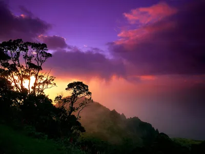 Nature Vibrant Sky Sunset Nature Wallpaper 4K 1600x1200 Hd, Nature, Desktop, Wallpaper, Showcasing, A, Vibrant, Sky, Sunset, Silhouetted, Trees, Misty, Brown, Landscape