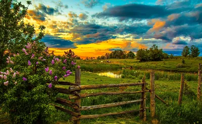 Serene Landscape Vibrant Nature Wallpaper 4K 1873x1156 A, Serene, Hd, Landscape, Wallpaper, Showing, Vibrant, Sunset, Over, Lush, Spring, Field, Yellow, Purple, Gray, Ultrawide