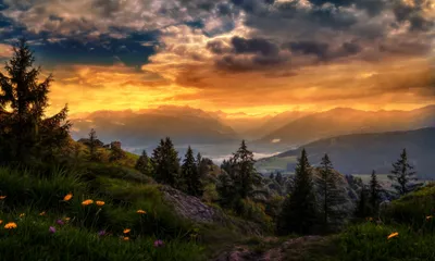 Nature Landscape Trees Backgroundsrain Wallpaper 4K, Nature category