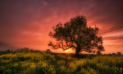 Sunset Field Nature Nature Wallpaper 4K 2048x1247 Sunset, Field, Brown, Ultrawide, Full HD
