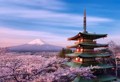 Japanese Pagoda Surrounded Pink Nature Wallpaper 4K 2048x1401 Hd, Desktop, Wallpaper, Featuring, A, Japanese, Pagoda, Surrounded, Pink, Sakura), Flowers, Majestic, Gray, Landscape, Full HD