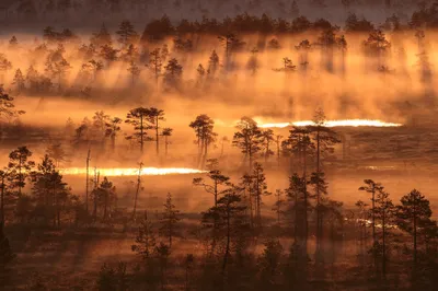 Golden Sunrise Foggy Wetland Landscape Nature Wallpaper 4K 2048x1365 Hd, Pc, Desktop, Wallpaper, Golden, Sunrise, Over, A, Foggy, Wetland, Landscape, Long, Brown, Orange, Ultrawide, Full HD