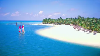 Tropical Beach Palm Trees Nature Wallpaper 4K 1920x1080 Hd, Desktop, Wallpaper, Of, A, Tropical, Beach, With, Palm, Trees, Along, Horizon, White, Ultrawide, Full HD