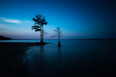 Dark Night Sky Ocean Lonely Nature Wallpaper 4K 2048x1367 Hd, Desktop, Wallpaper, Showing, A, Dark, Night, Sky, Over, Ocean, Lonely, Tree, Red, Brown, Landscape, Full HD