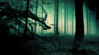 Dreamy Dark Wallpaper Black/Dark Wallpaper 4K 1920x1080 Hd, Pc, Desktop, Wallpaper, Featuring, A, Dark, Misty, Forest, Tall, Trees, Eerie, Brown, White, Gray, Ultrawide, Full HD