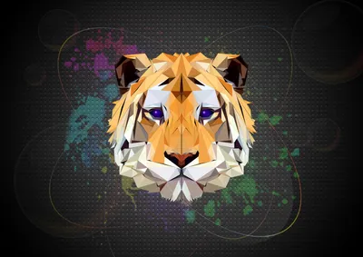 Tiger Face Low Poly Abstract Wallpaper 4K 3507x2480 Hd, Desktop, Wallpaper, Of, A, Tiger's, Face, Created, Tiger, 039, Low, Poly, White, Gray, Purple, Landscape, QHD