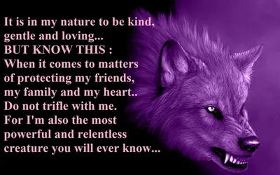 Fierce Looking Purple Wolf Embedded Animals Wallpaper 4K 1920x1200 A, Hd, Desktop, Wallpaper, Featuring, Fierce-looking, Purple, Wolf, Embedded, White, Text, Expressing, Brown, Gray, Ultrawide, Full HD