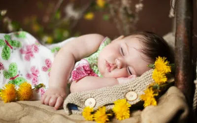 Vivid Definition Wallpaper Nature Wallpaper 4K 2560x1600 A, High-definition, Wallpaper, Featuring, Serene, Photograph, Of, Sleeping, Child, Surrounded, Yellow, Flowers, White, Gray, Ultrawide, QHD