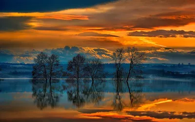 Serene Sunset Landscape Silhouetted Nature Wallpaper 4K 1920x1200 A, Serene, Sunset, Landscape, Featuring, Silhouetted, Trees, Reflecting, Still, Body, Water, Capturing, Brown, Ultrawide, Full HD
