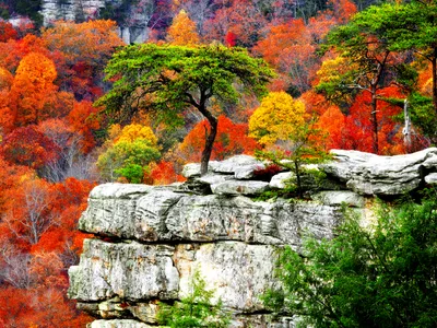 Vibrant Fall Forest Nature Wallpaper 4K 1600x1200 Vibrant, Fall, Forest, With, Colorful, Trees, Surrounding, A, Rocky, Cliff, Captured, Sharp, Gray, White, Landscape