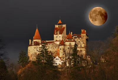 Crisp Bran Wallpaper Black/Dark Wallpaper 4K 1600x1086 Bran, Castle, In, Romania, Stands, Illuminated, Under, A, Dark, Night, Sky, Full, Orange, Brown, Landscape