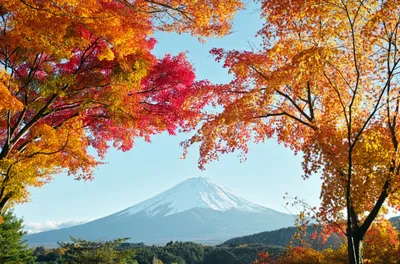 Misty Mount Wallpaper Wallpaper 4K, Nature category