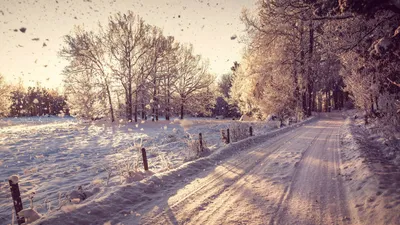 Calm Serene Wallpaper Nature Wallpaper 4K 1920x1080 Hd, Desktop, Wallpaper:, Featuring, A, Serene, Winter, Landscape, Snow-covered, Trees, Sunlit, Path, White, Ultrawide, Full HD