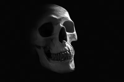 Calm Human Wallpaper Abstract Wallpaper 4K 1920x1272 Human, Skull, Gray, Ultrawide, Full HD