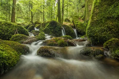 Bold Nature Wallpaper Nature Wallpaper 4K 5568x3712 Nature, Stream, Hd, Desktop, Wallpaper, Background, Image, Gray, Landscape, 4K