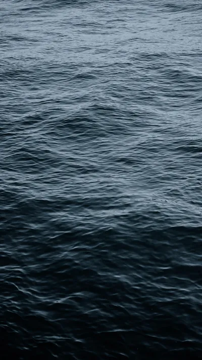 Bold Blue Wallpaper Nature Wallpaper 4K 2384x4240 Gray
