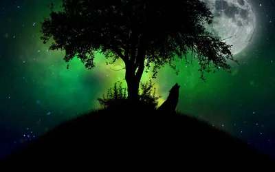 Wolf Howling Moon Silhouetted Starry Space Wallpaper 4K 1920x1200 Hd, Wallpaper:, Of, A, Wolf, Howling, At, The, Moon, Silhouetted, Against, Starry, Brown, Gray, Ultrawide, Full HD
