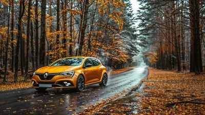 Orange Renault Megane Wet Nature Wallpaper 4K 2912x1632 Hd, Desktop, Wallpaper, Featuring, An, Orange, Renault, Megane, Parked, Wet, Forest, Road, White, Gray, Brown, Ultrawide, QHD