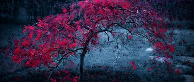 Epic General Wallpaper Abstract Wallpaper 4K 2560x1080 Wallpaper, General, 2560x1080, Gray, Brown, Ultrawide, QHD