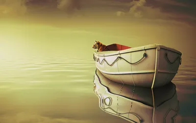 Serene Movie Life Animals Wallpaper 4K 1920x1200 A, Serene, Hd, Desktop, Wallpaper, From, The, Movie, Life, Featuring, Boat, Peacefully, Gray, Ultrawide, Full HD