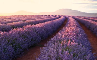Serene General Wallpaper Abstract Wallpaper 4K 3840x2400 Wallpaper, General, 3840x2400, White, Ultrawide, 4k