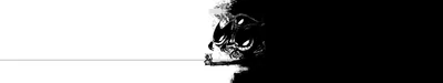 Anime Small Pok Mon Dark Black/Dark Wallpaper 4K 5760x1080 A, Striking, Hd, Anime, Wallpaper, Featuring, Small, Pok, Mon, Against, Dark, Abstract, White, Ultrawide, 4K