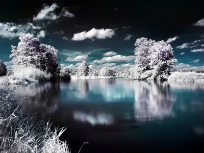 Serene Nature Trees Beautifully Reflected Nature Wallpaper 4K 1600x1200 Hd, Desktop, Wallpaper:, Showcasing, A, Serene, Nature, Scene, Trees, Clouds, Beautifully, Reflected, White, Gray, Landscape
